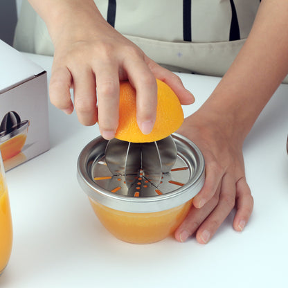 Manuell fruktjuicer i rostfritt stål